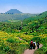 Huaral